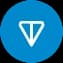 TON Multiply Vault